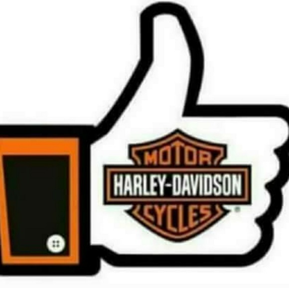 NUTHIN - Picture 2 of 8